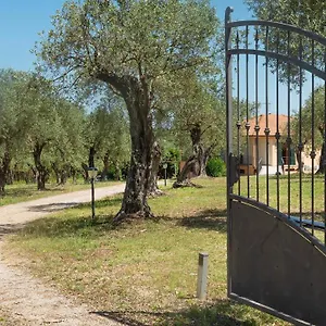 https://italianway-bb-olivar.hotelsalgherosardinia.com